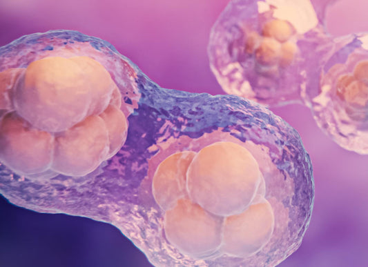 Always Tired? Your Cells May Need More Energy Support