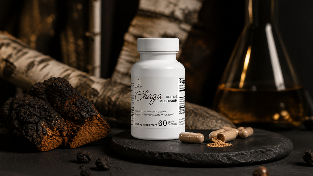 Chaga Mushroom Benefits: A Science-Based Guide to Antioxidant and Immune Wellness