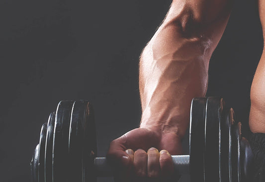 Not Getting Enough Protein? Why Daily Intake Matters More Than You Think